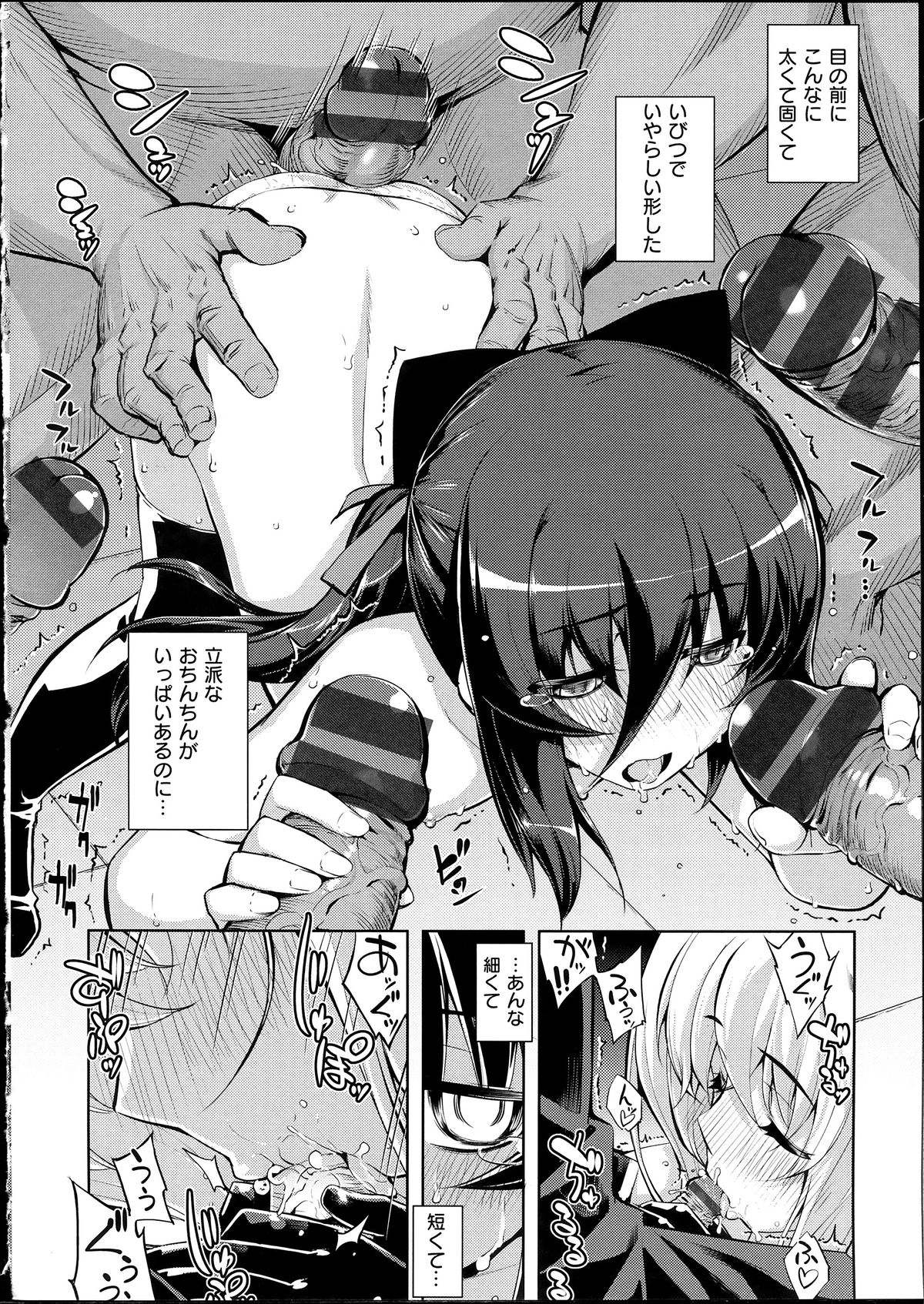 [無望菜志] NTR²+虎の穴小冊子付 [140818]