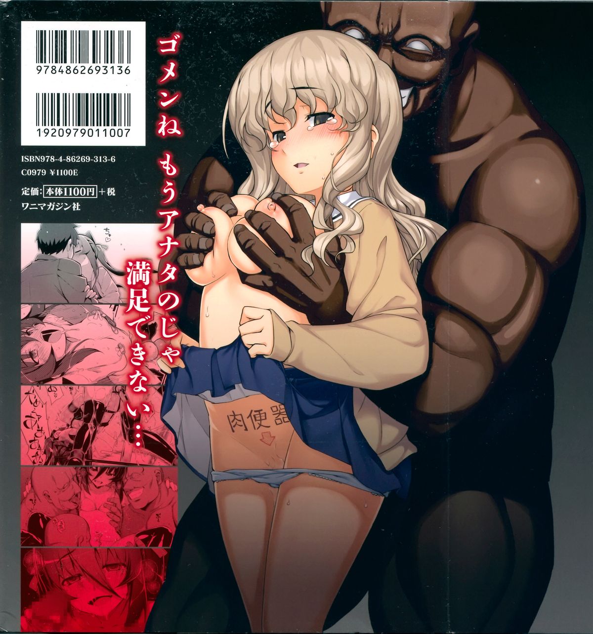 [無望菜志] NTR²+虎の穴小冊子付 [140818]