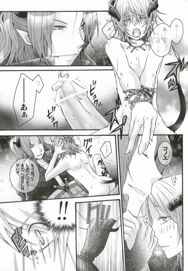 [負狗組 (hokke, maino)] Mor+Nox (Lamento -Beyond the Void-)