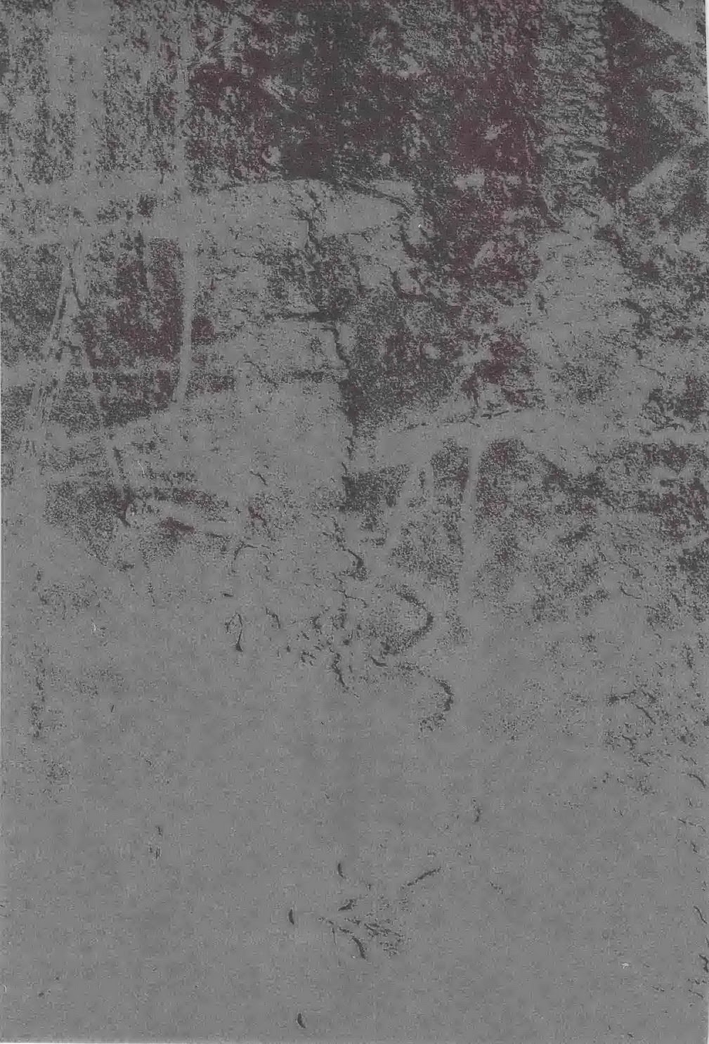 (青の聖域in大阪Lv.3) [カワセミセワカ, ALLIGATOR (ミーチャン, 七日)] MOVE ROGUE (青の祓魔師)