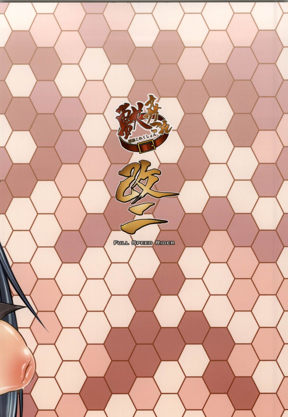 (サンクリ64) [漸速ライダー (天漸雅)] 獣姦これくしょん改二 (艦隊これくしょん -艦これ-)