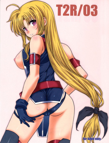 (C85) [BRIEST (八嶋テツヤ)] T2R/03 (よろず)