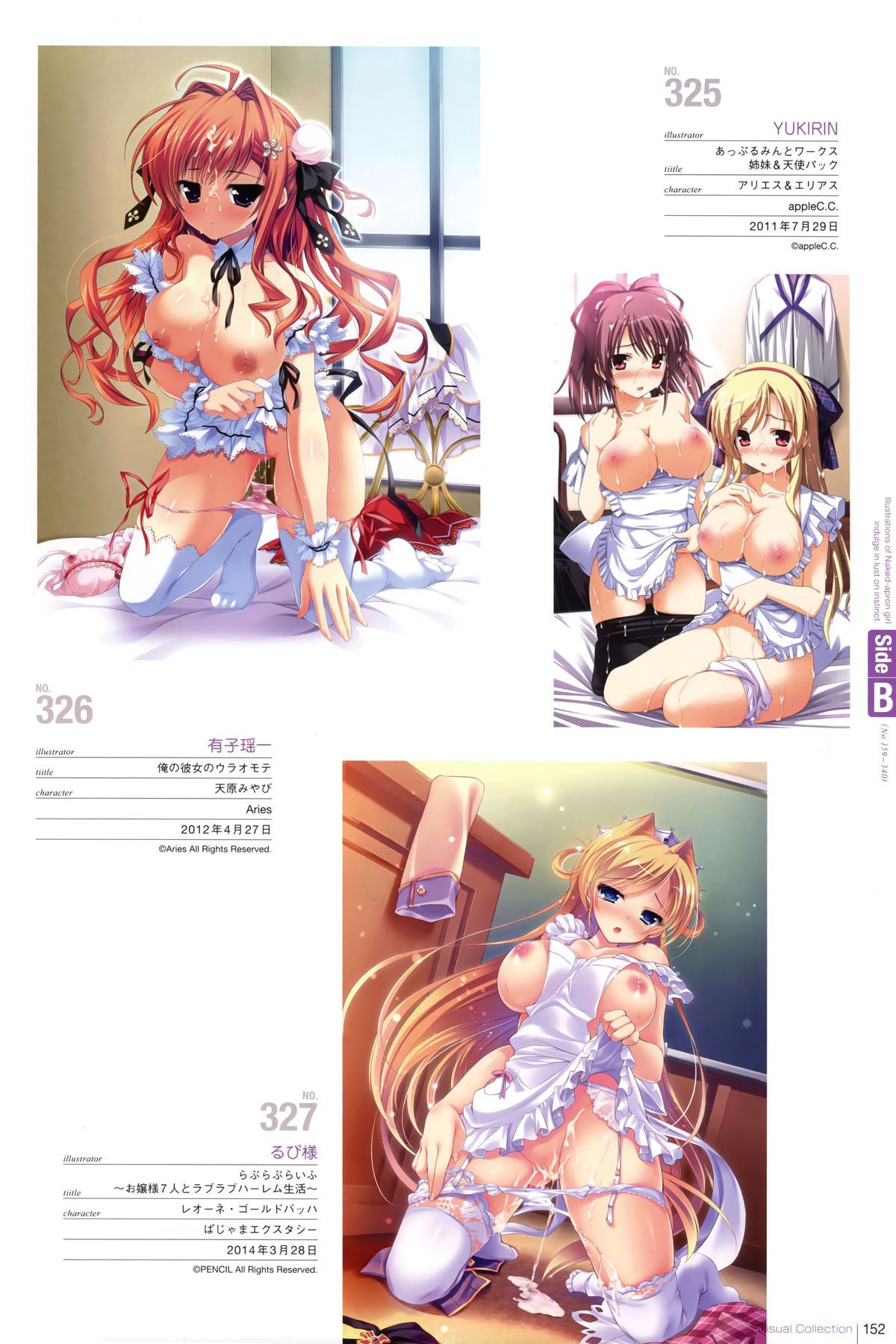 裸エプロンVisual Collection Final