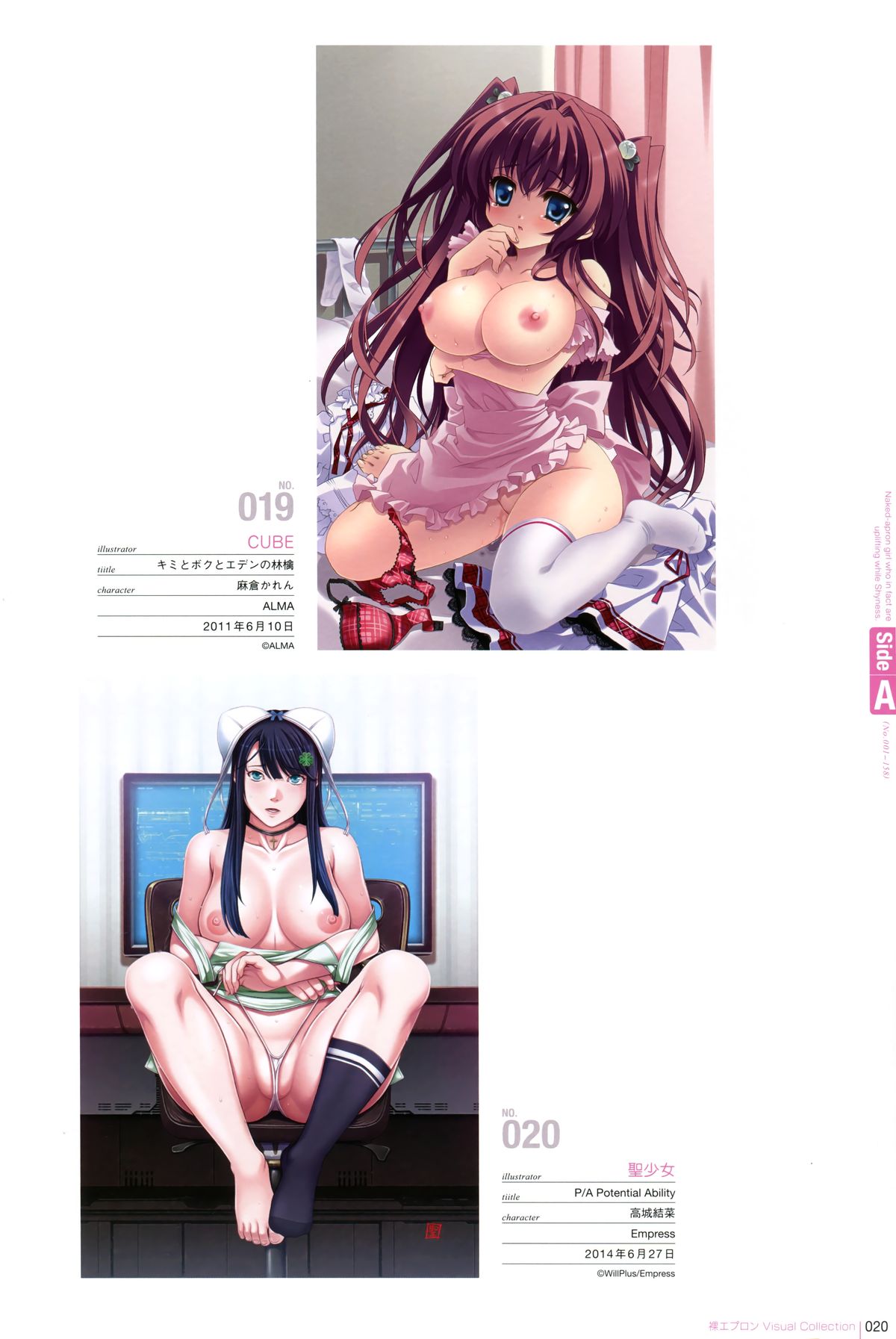 裸エプロンVisual Collection Final
