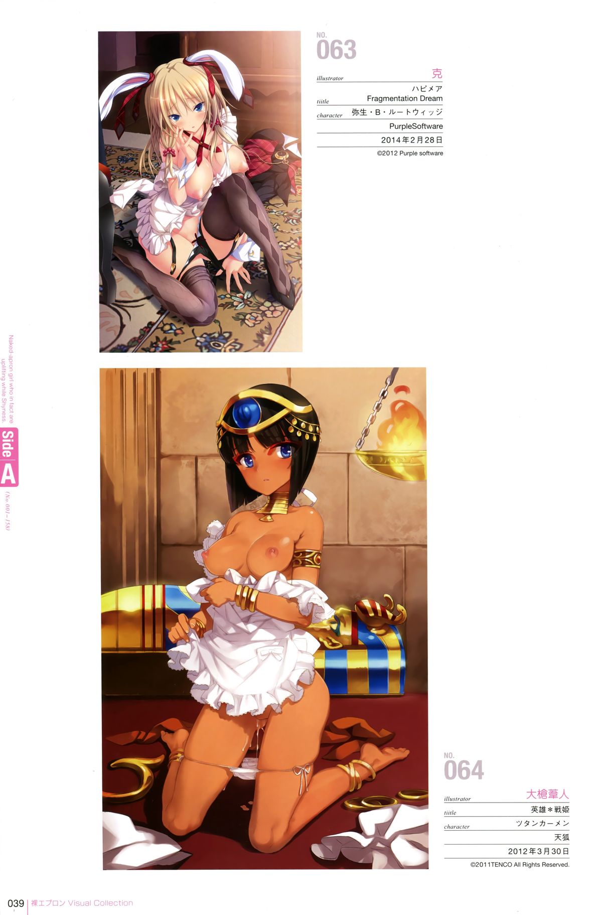 裸エプロンVisual Collection Final