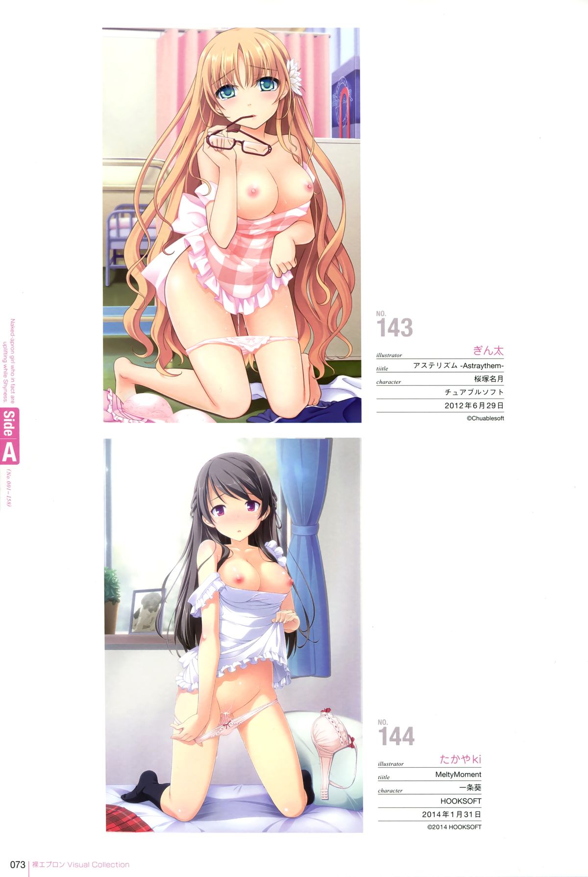 裸エプロンVisual Collection Final