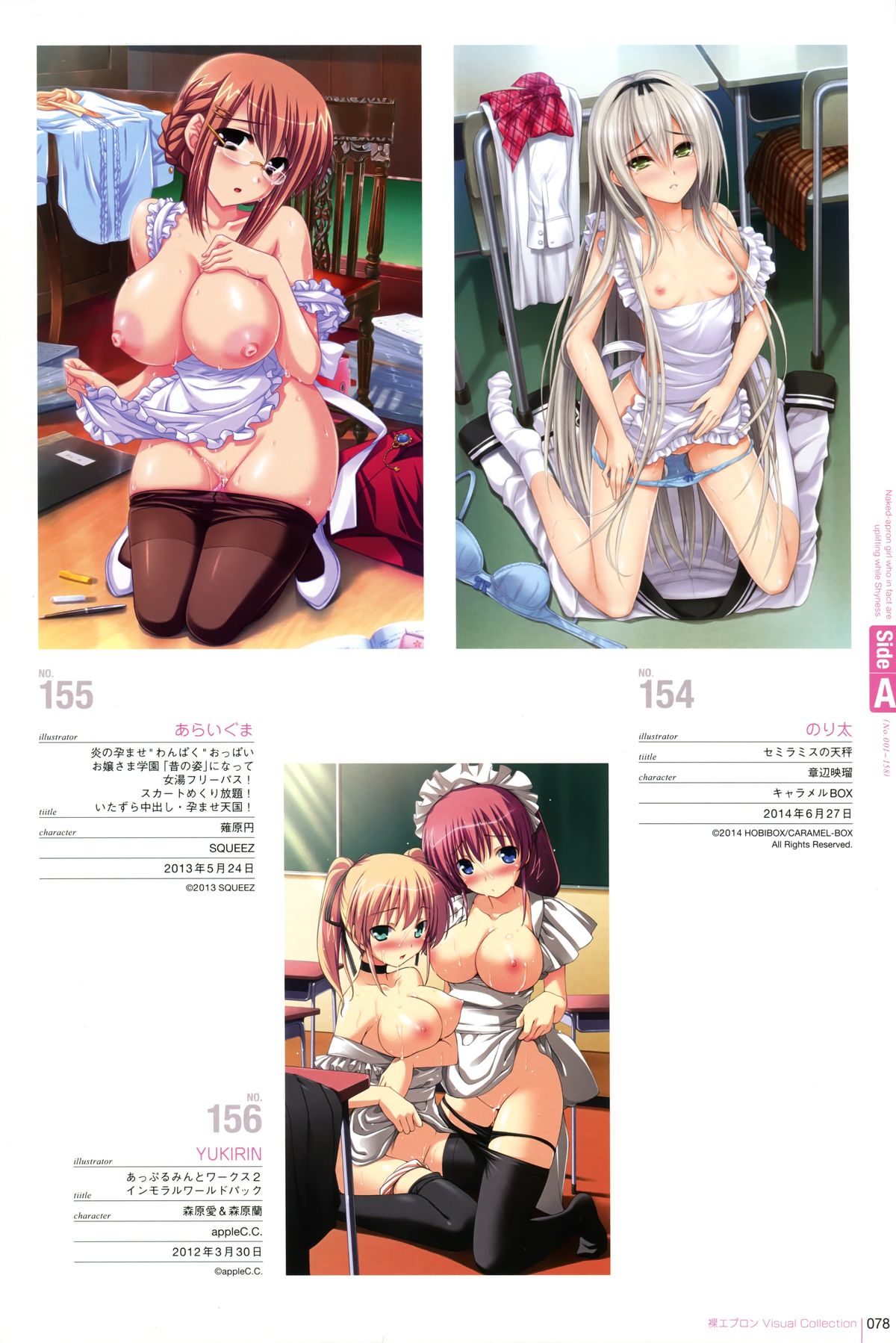 裸エプロンVisual Collection Final