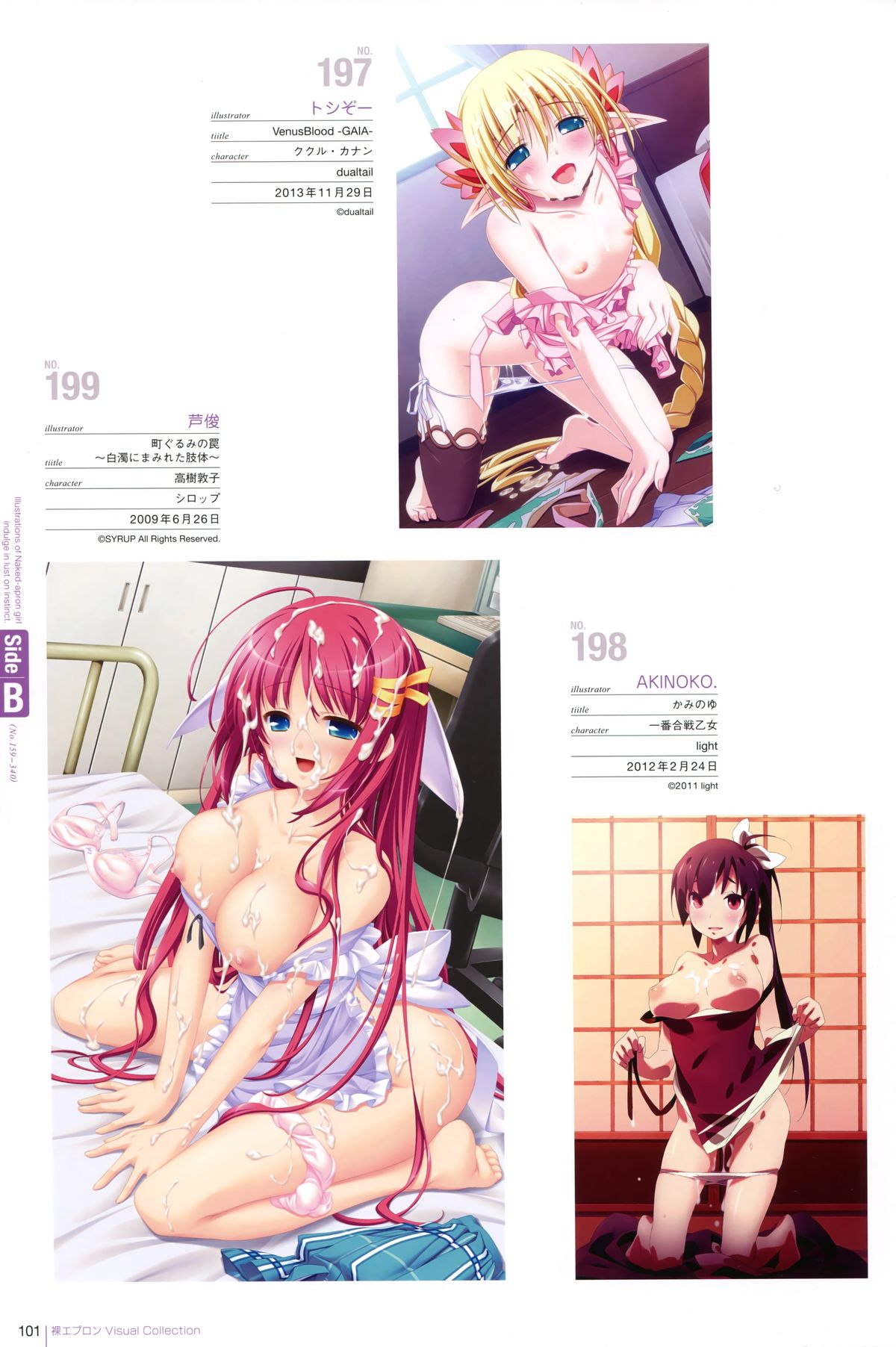 裸エプロンVisual Collection Final