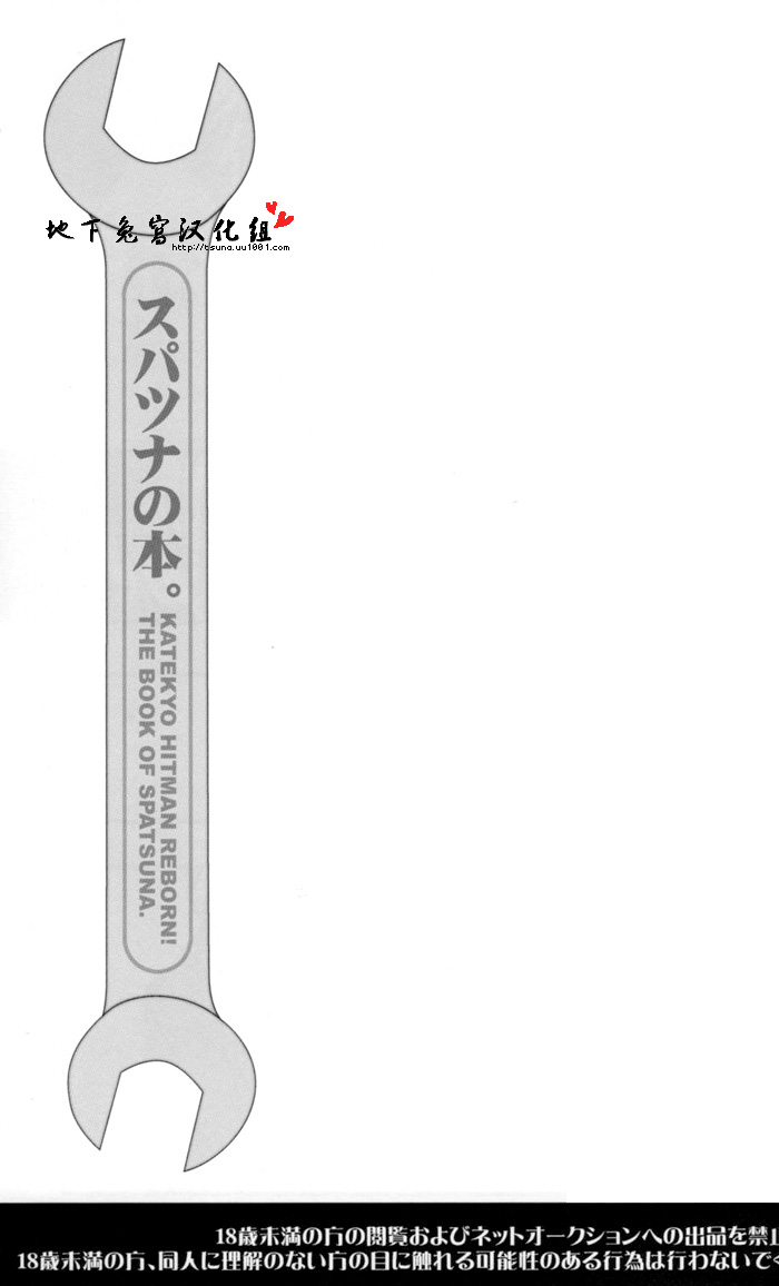 [BBP (和泉棒子)] スパツナの本。 (家庭教師ヒットマンREBORN!) [中国翻訳]