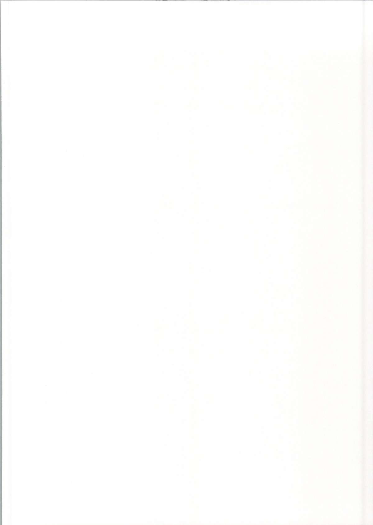 (サンクリ64) [岡虎屋 (岡虎)] ビスマルク夜戦改造 (艦隊これくしょん -艦これ-)