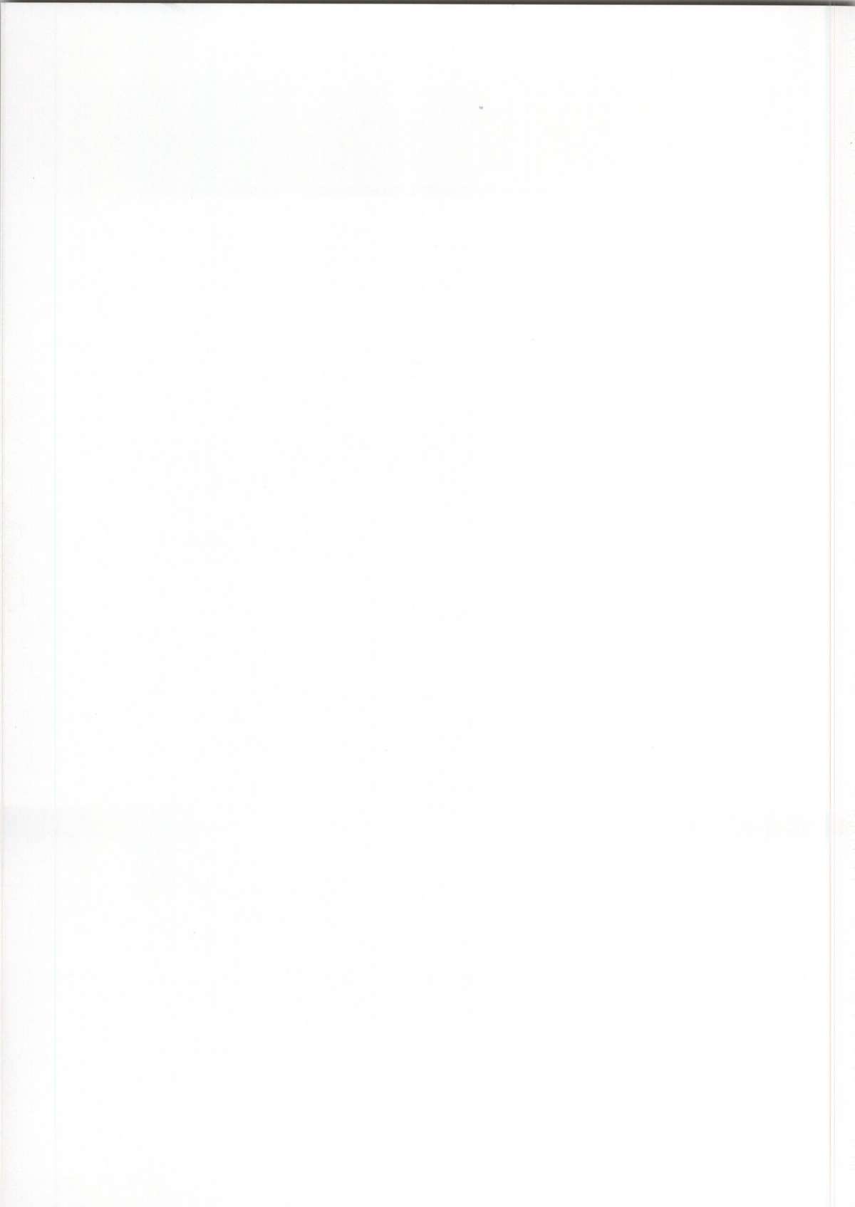 (サンクリ64) [岡虎屋 (岡虎)] ビスマルク夜戦改造 (艦隊これくしょん -艦これ-)