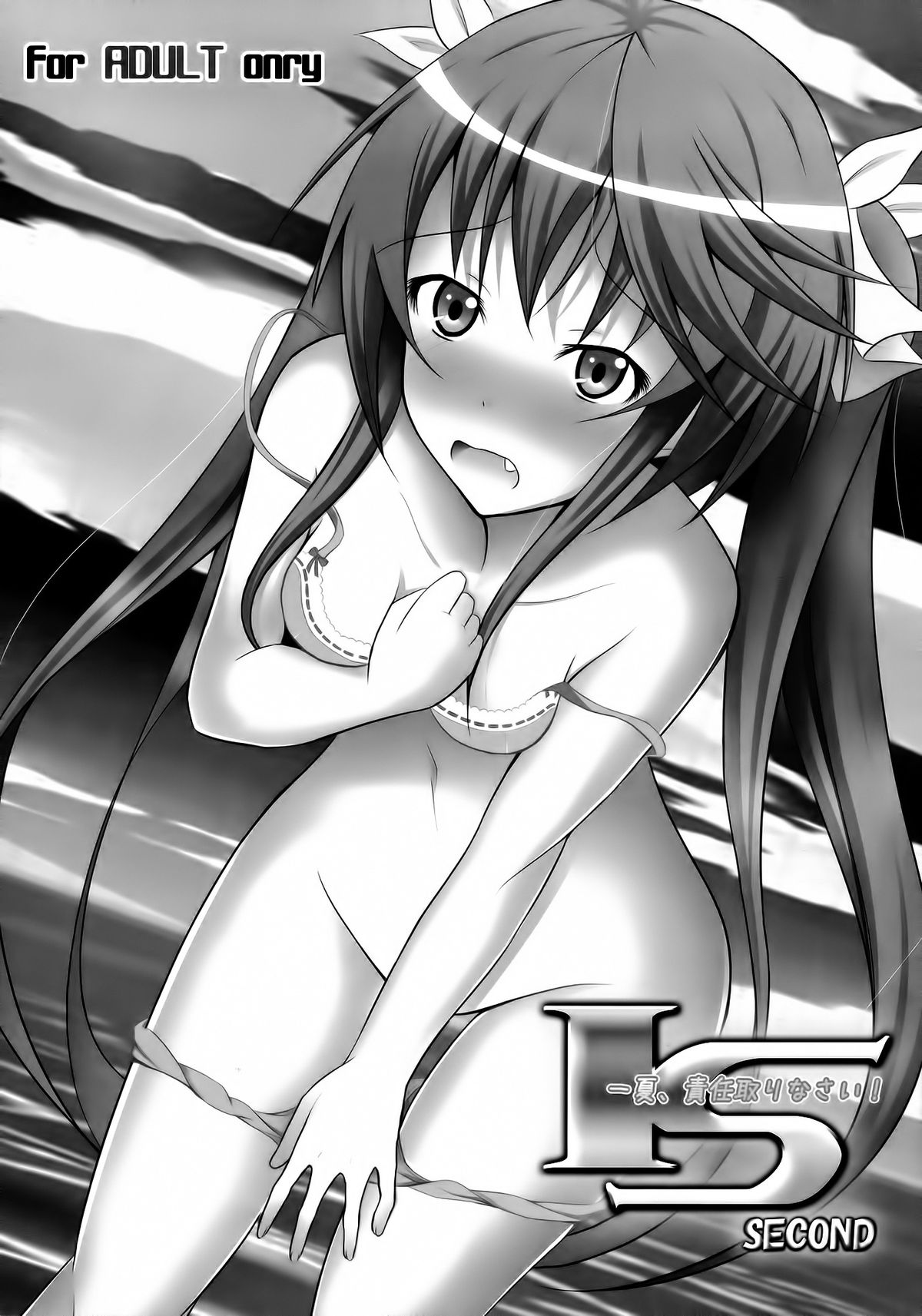 (C80) [personal space (くろた)] 一夏、責任取りなさい!SECOND (IS＜インフィニット·ストラトス＞) [英訳]