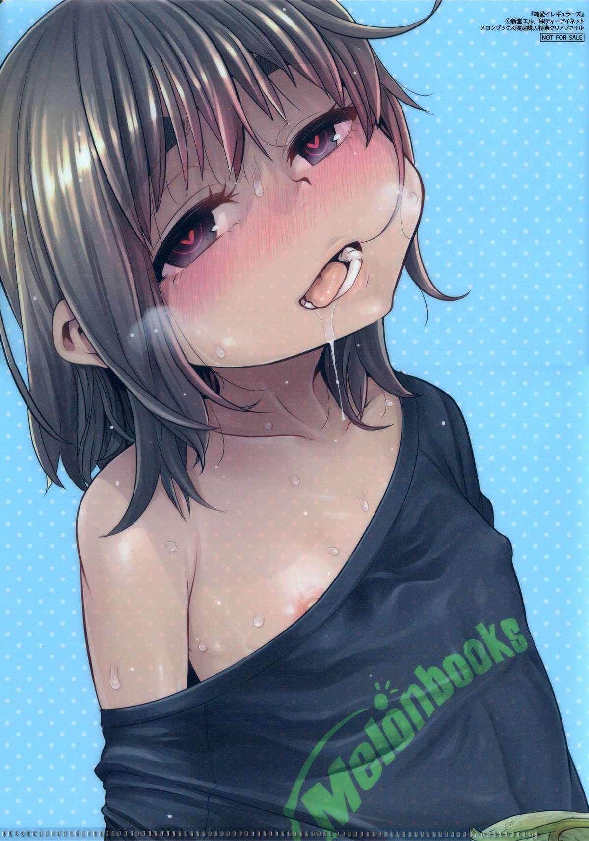 [新堂エル] 純愛イレギュラーズ + クリアファイル