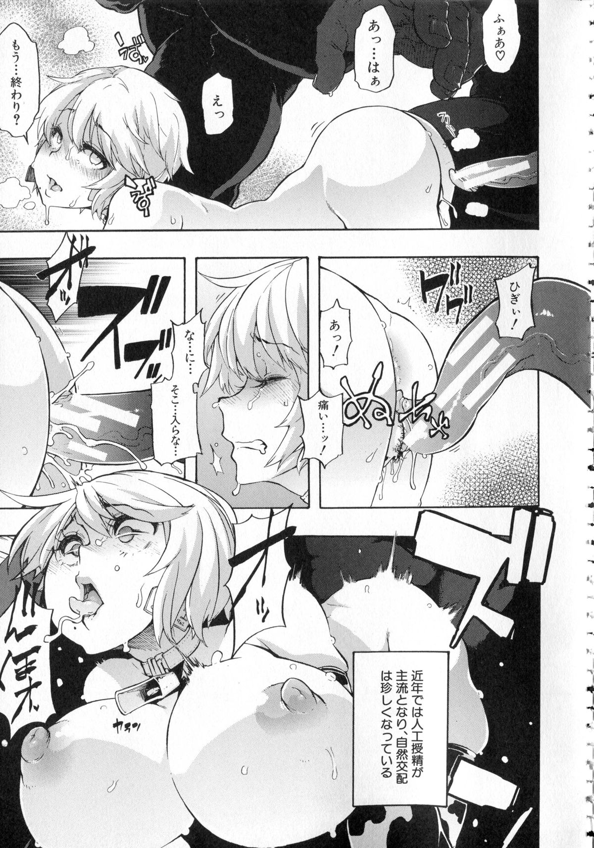 [新堂エル] 純愛イレギュラーズ + クリアファイル