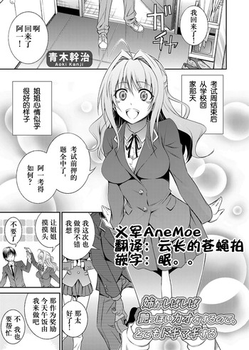 [青木幹治] 姉がしばしば艶っぽいカオをするので、とてもドギマギする (コミックグレープ Vol.13) [中国翻訳] [DL版]