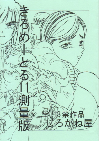 (Cレヴォ30) [しろがね屋 (銀星王)] きろめーとる 11 測量版 (ヒカルの碁)