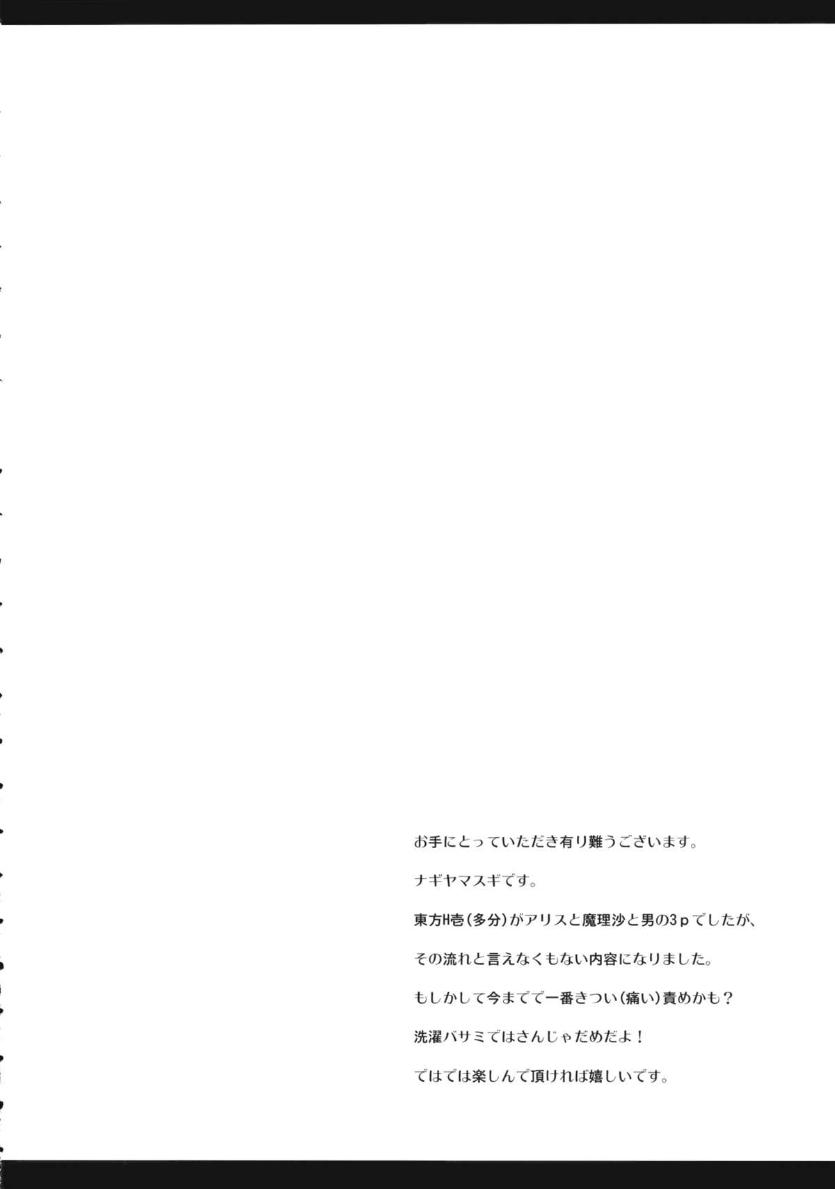 (例大祭10) [ナギヤマスギ (那岐山)] 東方陵辱27 (東方Project)