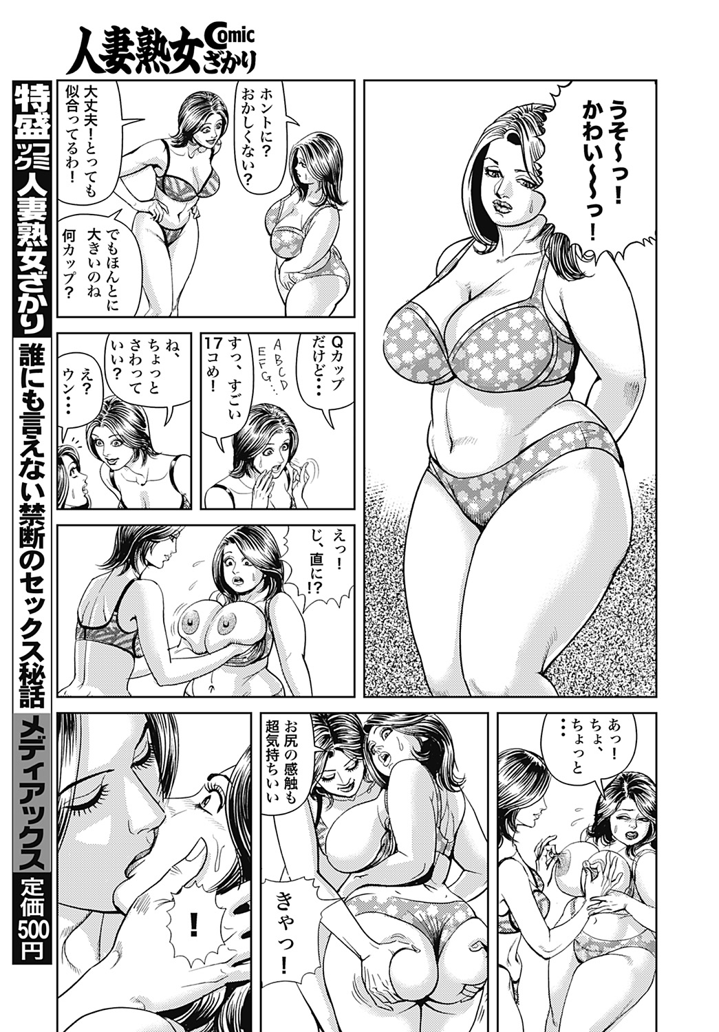 [セニョール大悦] 巨乳ママと近親相姦 [DL版]