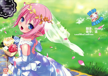 (C86) [備前式ロロップ (備前)] ひろったララフェルと暮らしま専科 (ファイナルファンタジー XIV) [中国翻訳]