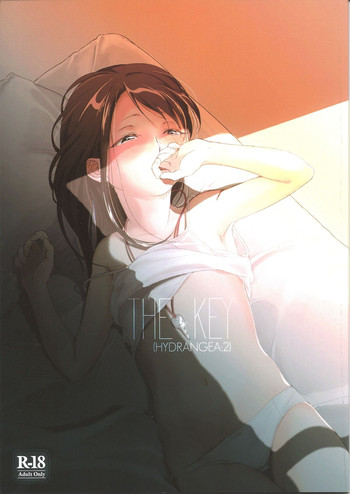 (C85) [噓 (葛湯)] THE KEY