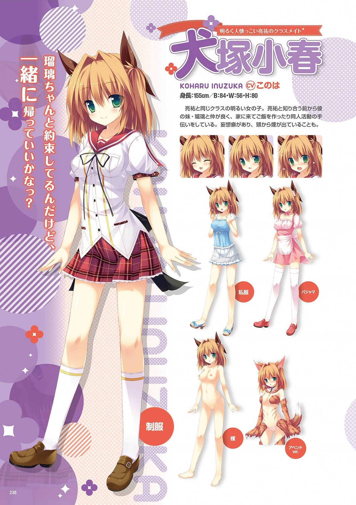 ぜったい☆シリーズ ビジュアル全集