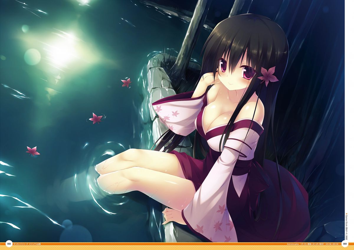 ぜったい☆シリーズ ビジュアル全集