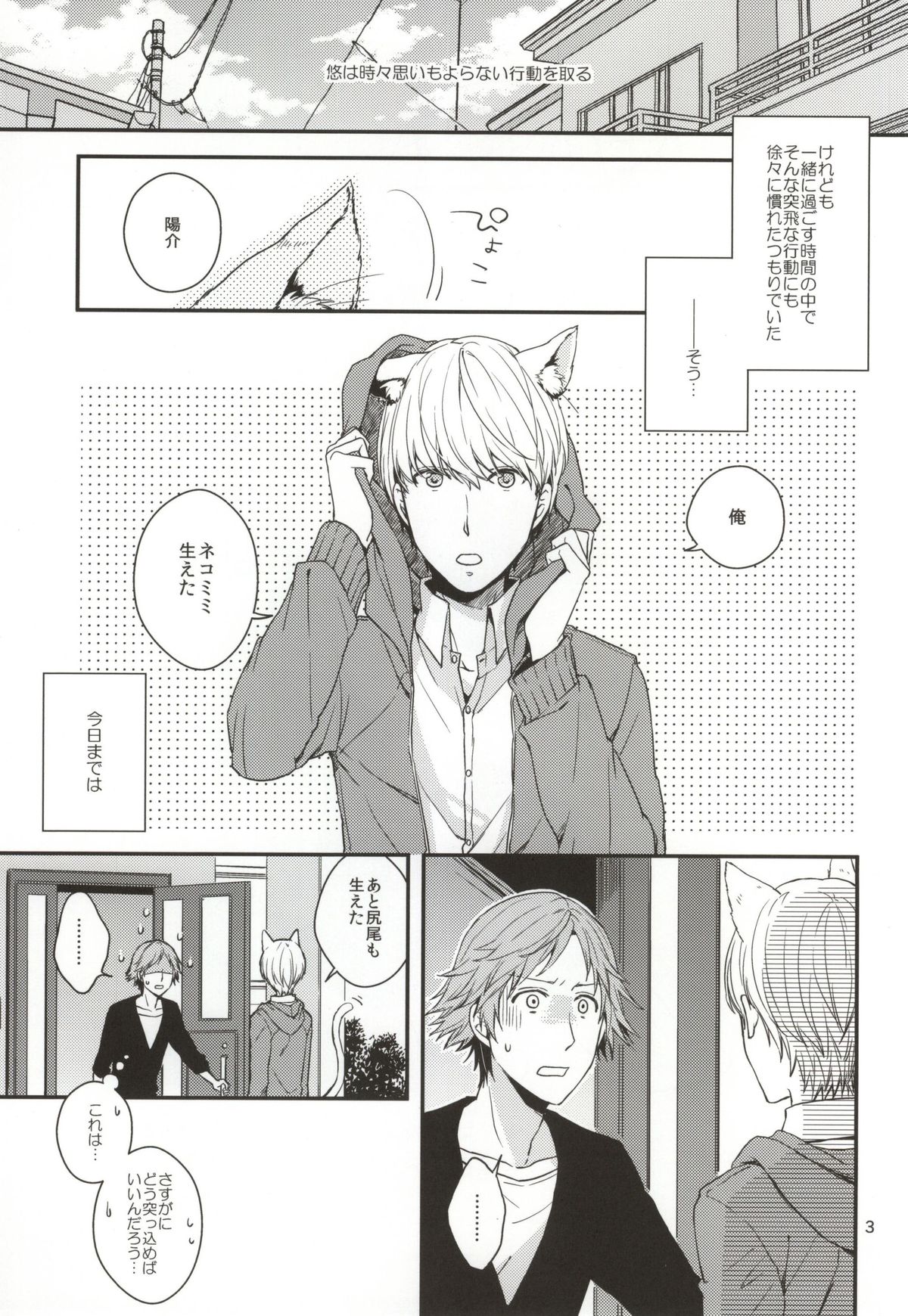 (C83) [Swallow Sky (リハラ)] CRAZY CAT LOVER (ペルソナ4)