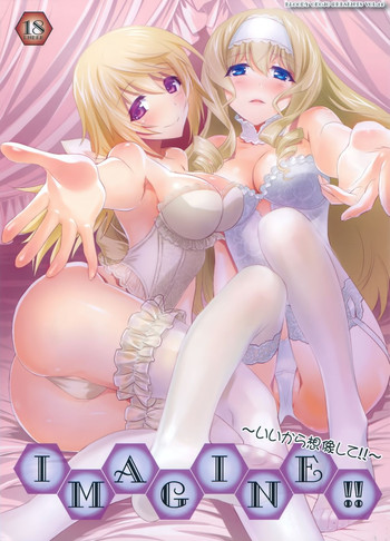 (COMIC1☆8) [Bloody Okojo (芥川まんぼう)] IMAGINE!!～いいから想像して!!～(IS＜インフィニット・ストラトス＞) [无毒汉化组]