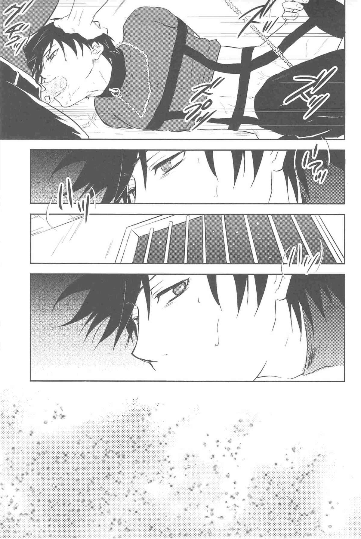 [DARKER THAN BLACK] ほしあつめ 表&裏 (mrmn)