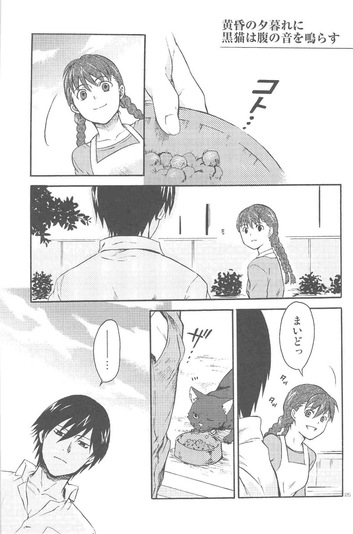 [DARKER THAN BLACK] ほしあつめ 表&裏 (mrmn)