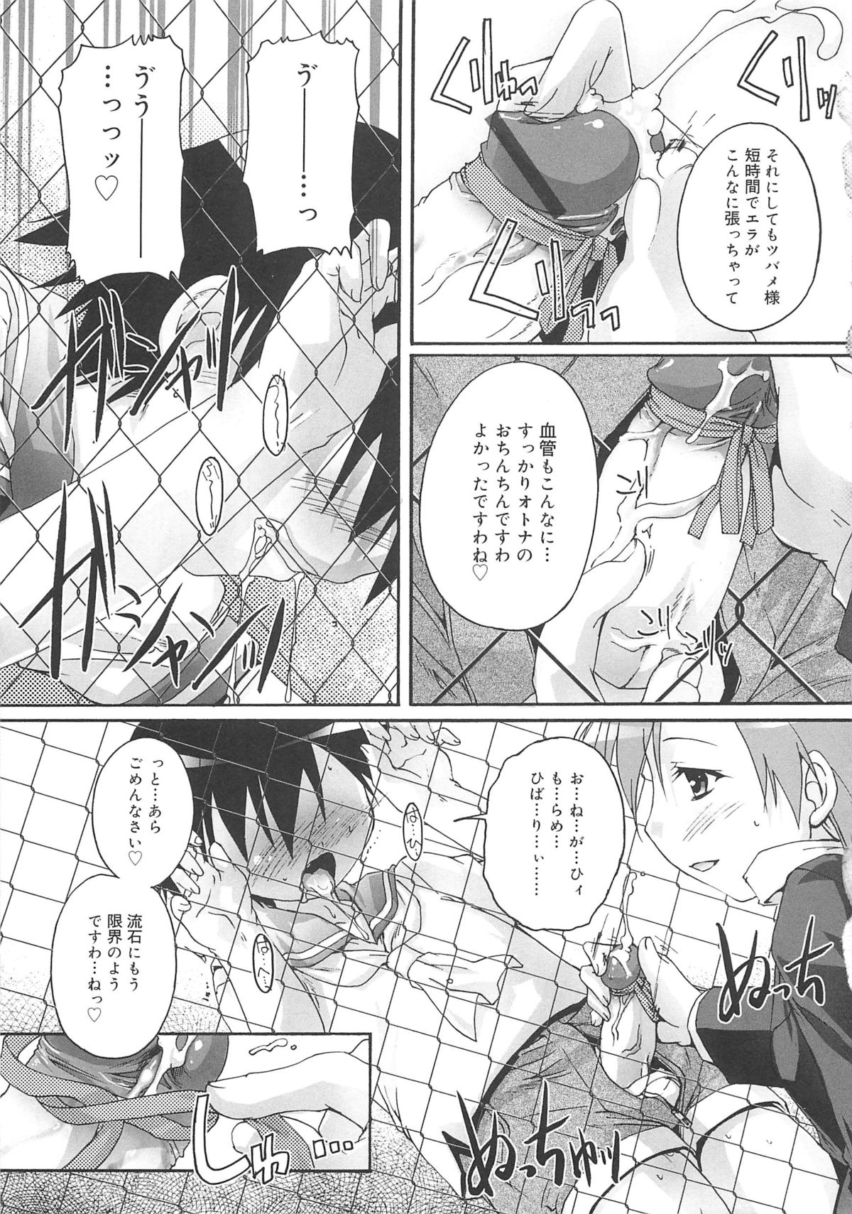 [鷹勢優] カゴノトリ