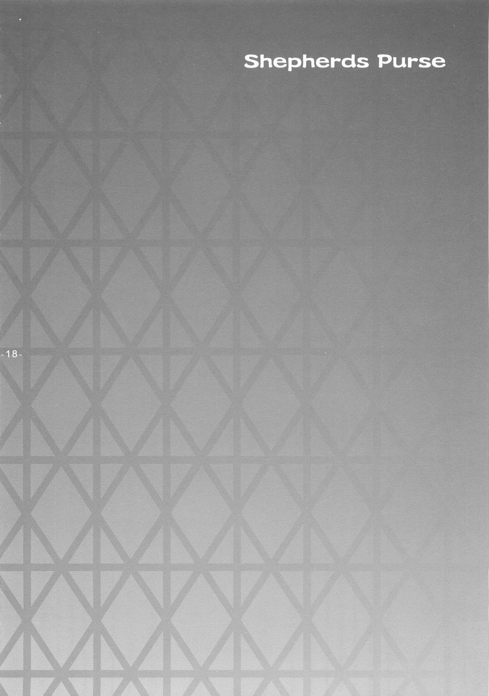 (Cレヴォ35) [天軸屋 (望月奈々)] Another Girl II (Fate/stay night)