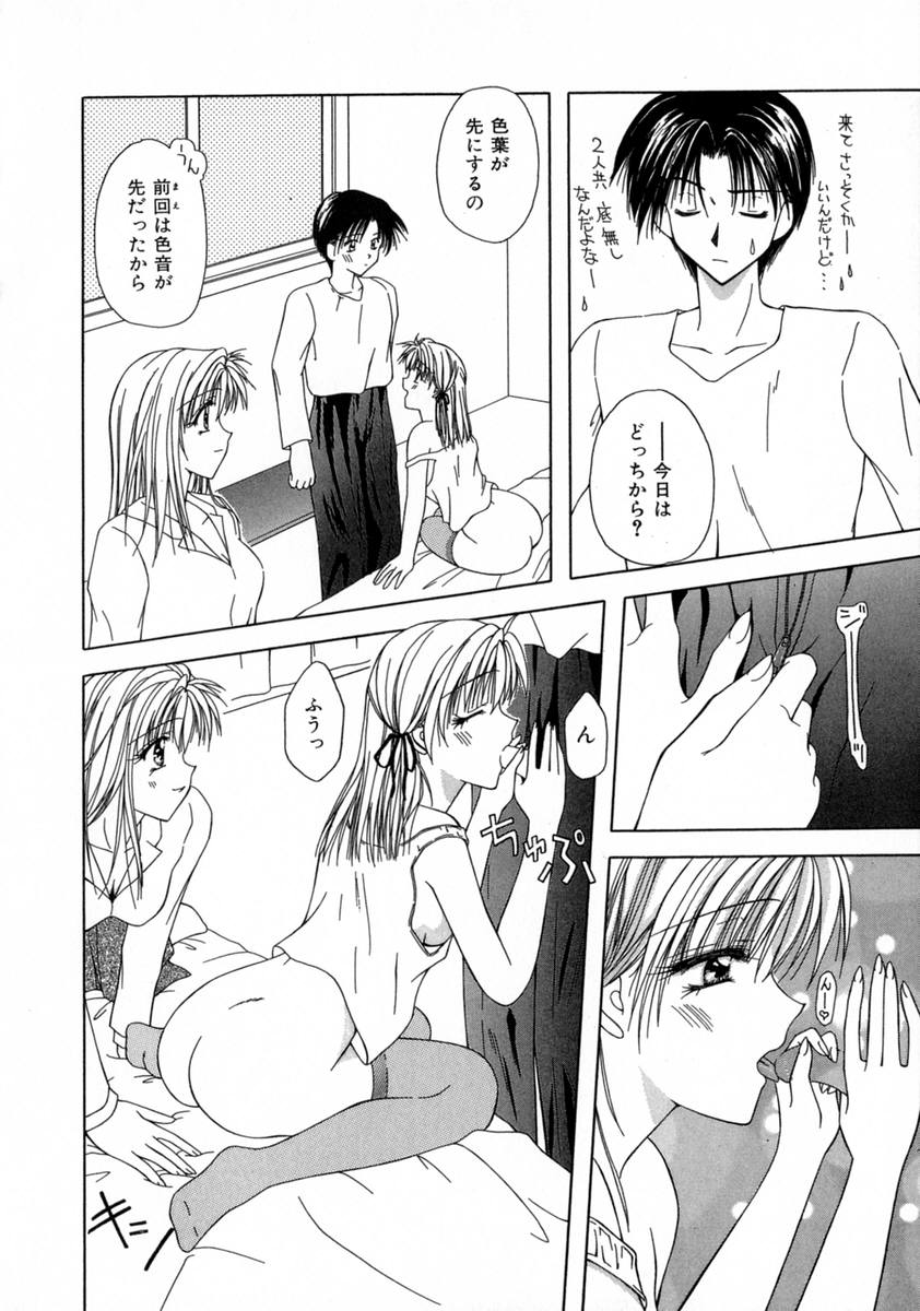 [藤堂玖麗] まい・べいびぃ