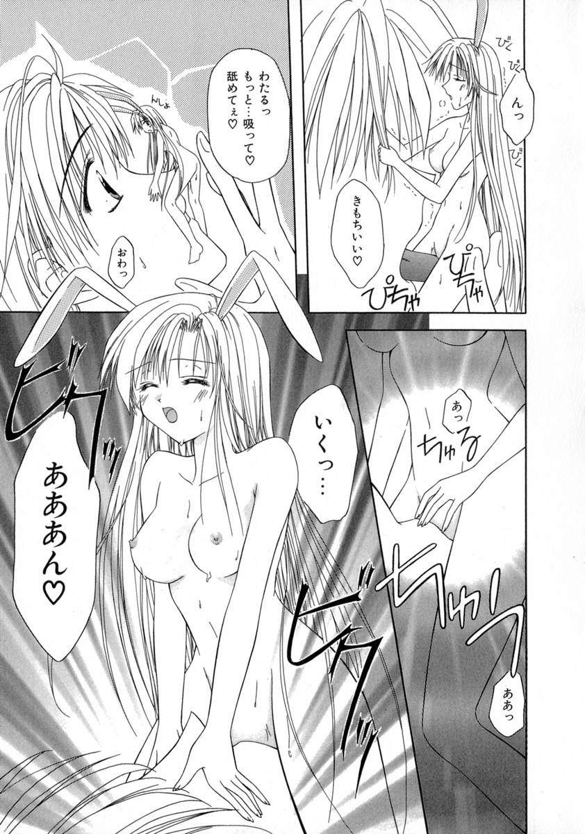 [藤堂玖麗] まい・べいびぃ