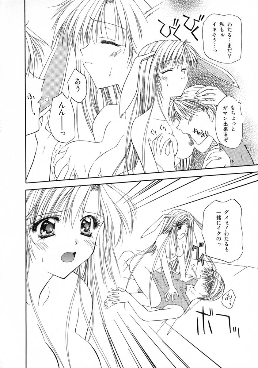 [藤堂玖麗] まい・べいびぃ