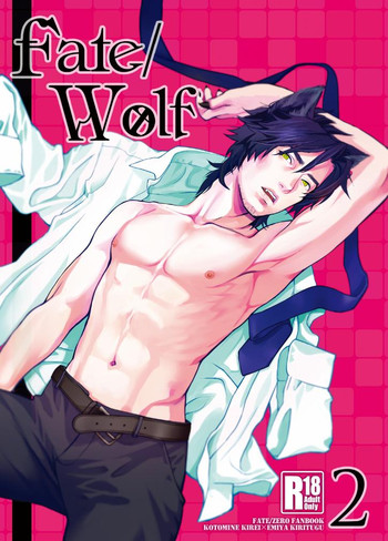 (SPARK8) [めっちょり (みつる)] fate/wolf2 (Fate/Zero)