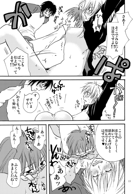 [リリ舎 (りーるー)] 焔たん気をつけて！ (セキレイ)