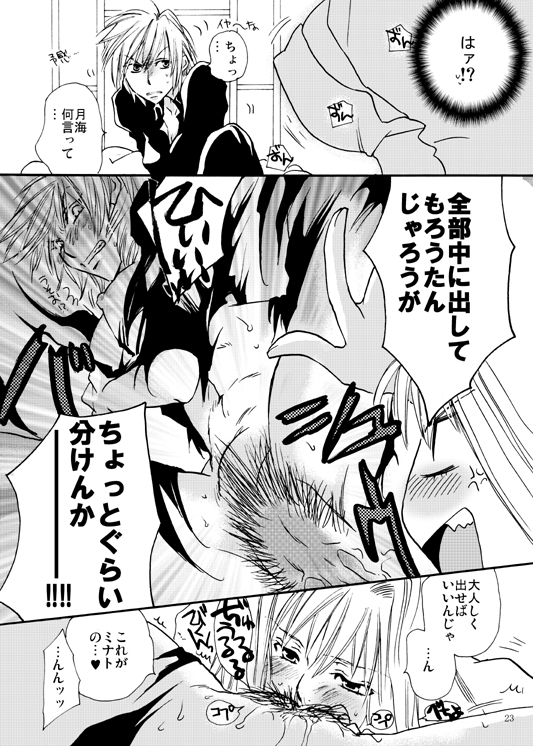 [リリ舎 (りーるー)] 焔たん気をつけて！ (セキレイ)