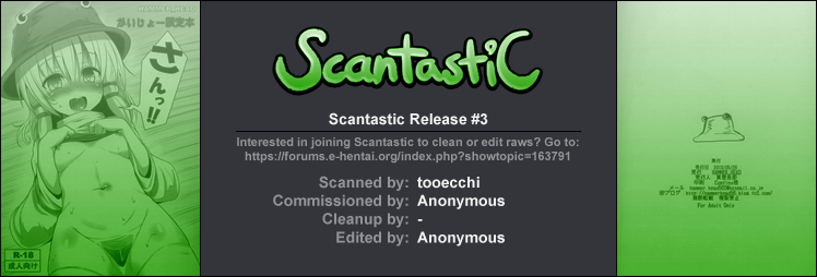 (例大祭10) [HAMMER_HEAD (真壁吾郎)] かいじょー限定本 さんっ!! (東方Project)