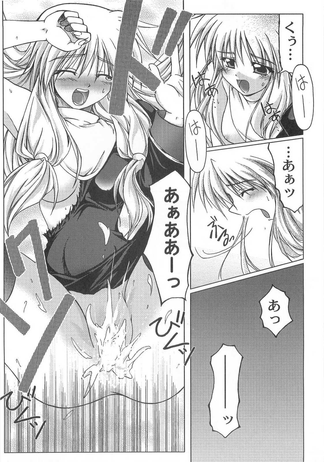 (C67) [こめどころ (米倉きひろ)] Holy Days (ラグナロクオンライン)