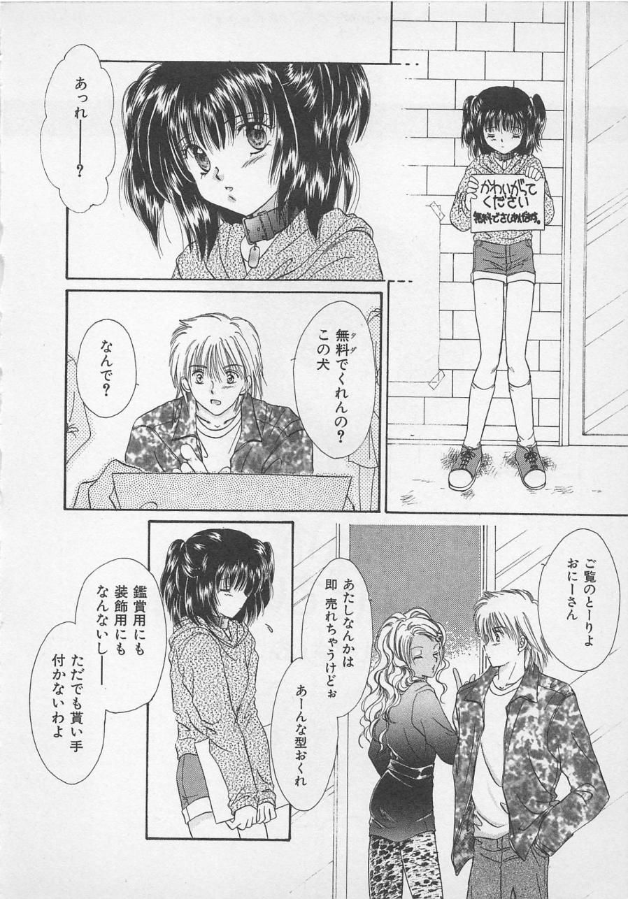 [佐伯由香子] Love Affair