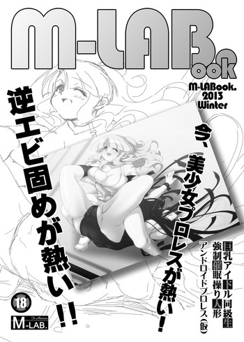 【M-LAB。】M-LABook.2013冬DL版 【M-LAB。】M-LABook.2013冬DL版