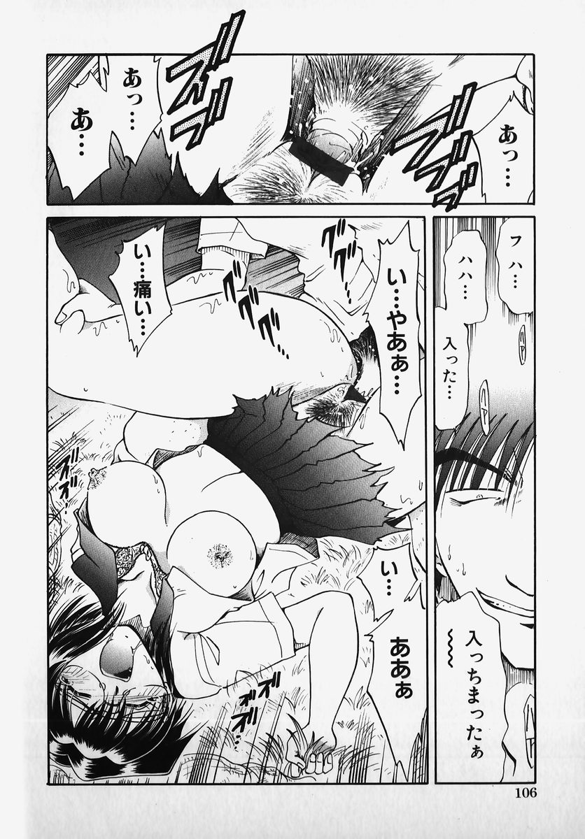 [アンソロジー] SM COMIC 鎖縛 Vol.2