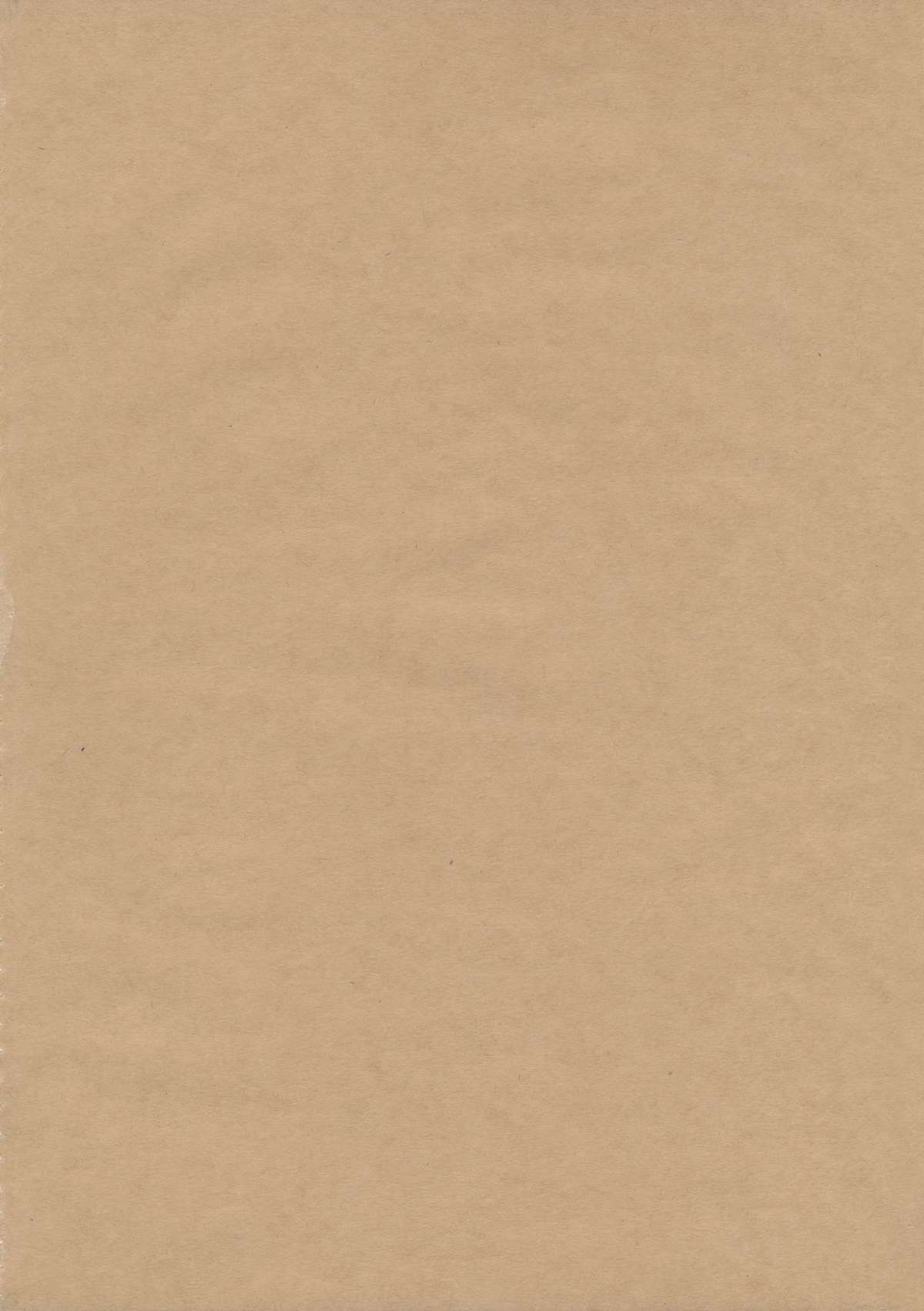 (紅楼夢9) [ぱぶぷらだーく (コースター)] 河童のせせらぎ (東方Project)