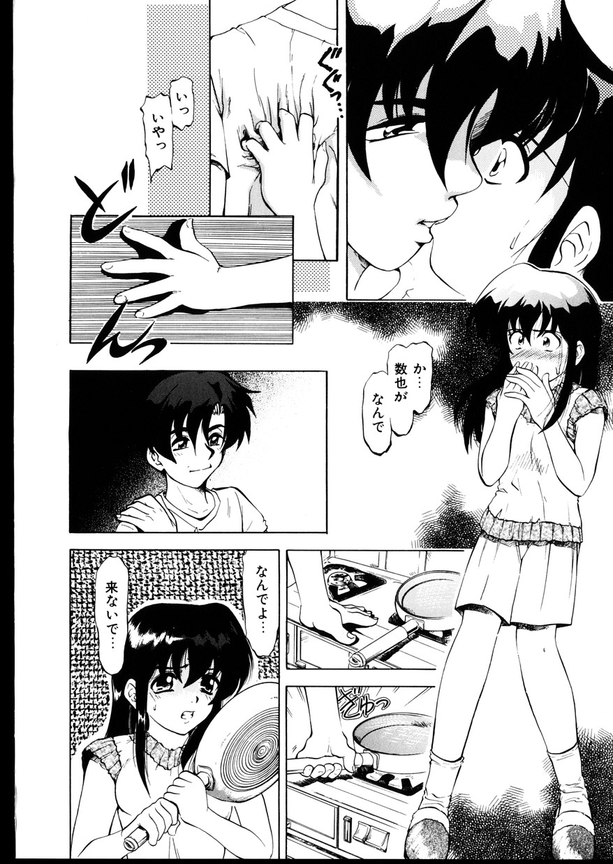 [陣卦吾雄] いじめて～夜の玩具～