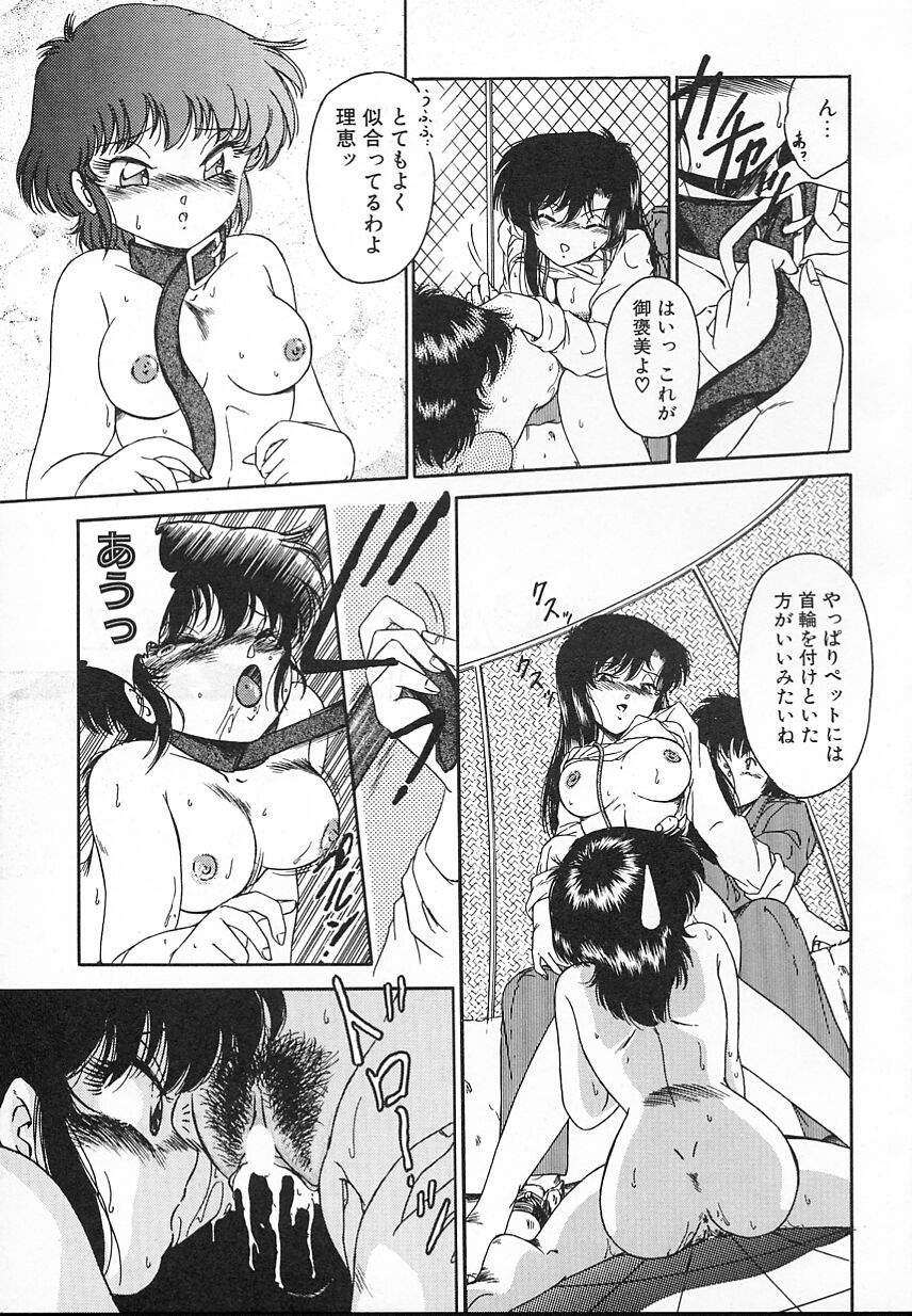 [緑沢みゆき] 金曜日の放課後