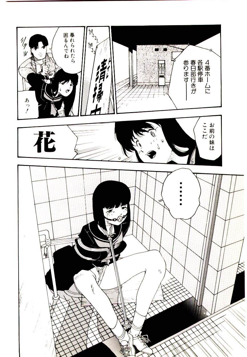 [アンソロジー] マンガ完熟選科