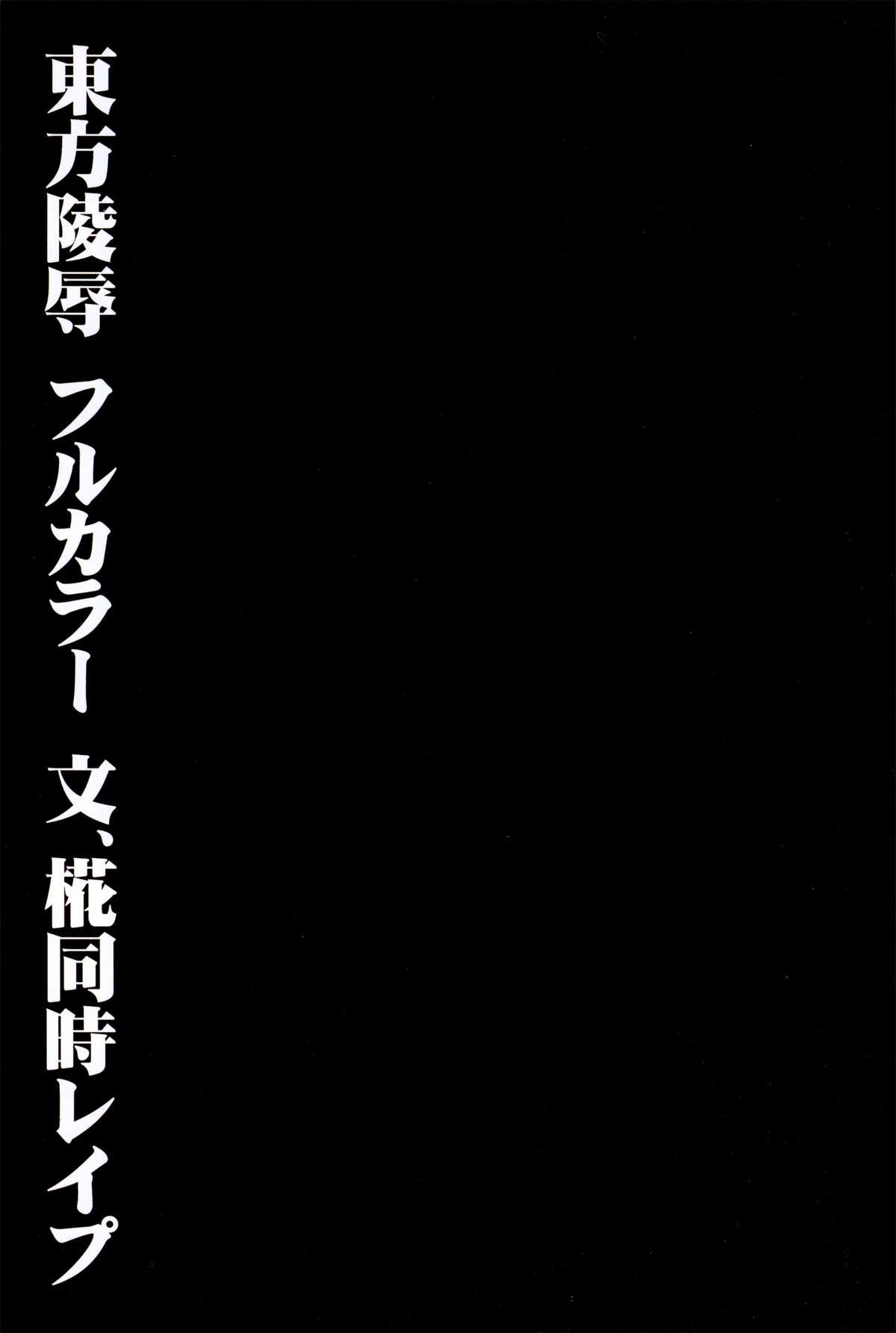 (C84) [ナギヤマスギ (那岐山)] 東方陵辱28 文、椛同時レイプ (東方Project)