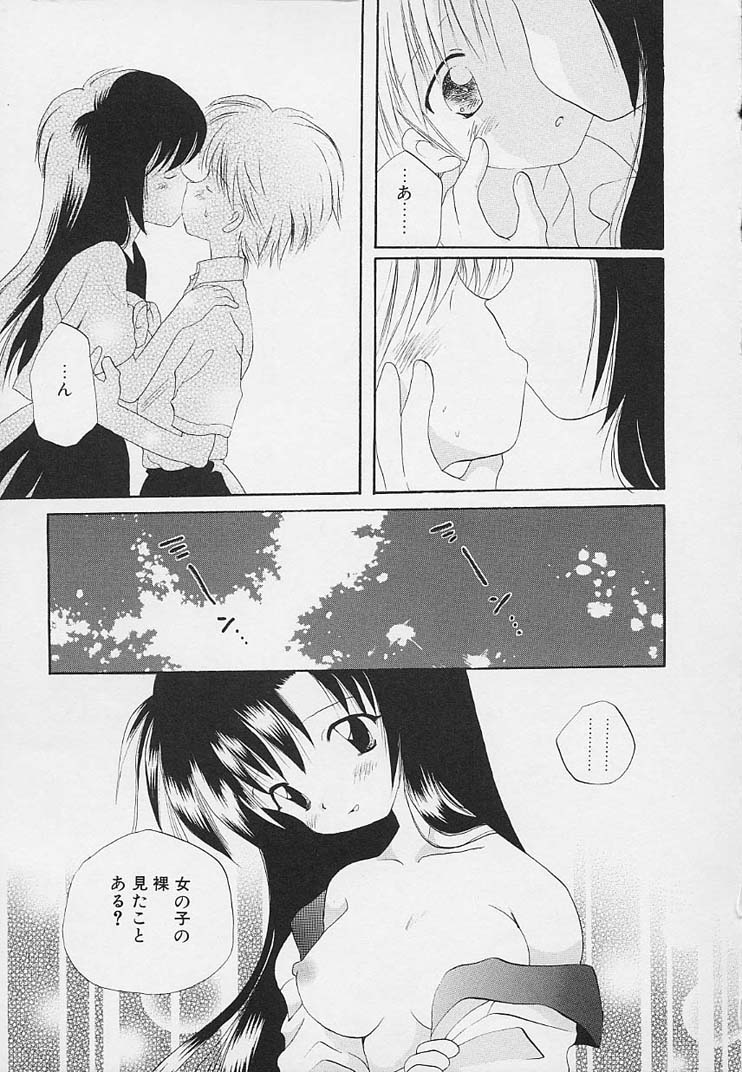 [星逢ひろ] 思春期の鼓動