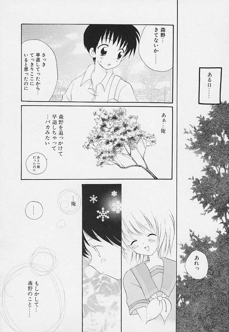 [星逢ひろ] 思春期の鼓動